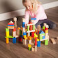 TimberBlocks - 100 Piece Wooden Block Set Image